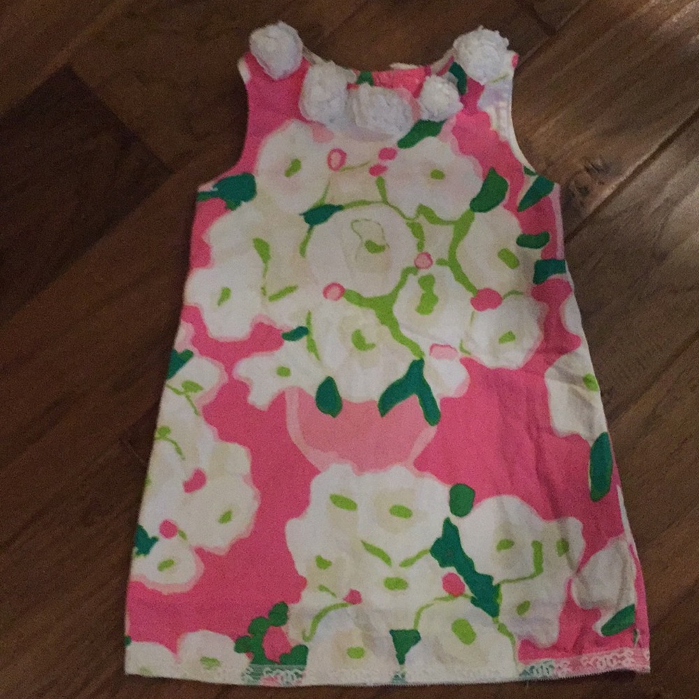 Lilly Pink 2t dress